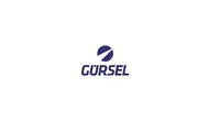 Gür-Sel, ABD’de “Gürsel Mobility Corp.” Adlı Yeni Şirketini Kurdu