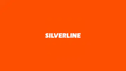 Silverline’dan 2,22 Milyon TL’lik Ek Gelir