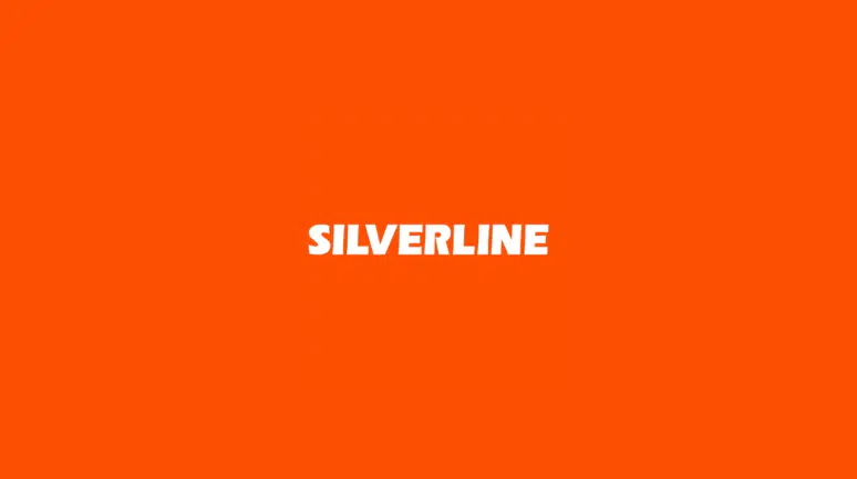 Silverline’dan 2,22 Milyon TL’lik Ek Gelir