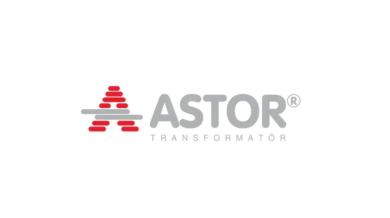Astor Enerji, TEİAŞ’ın 351 Milyon TL’lik İhalesinde İlk Sırada Yer Aldı